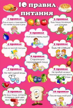 10 правил питания