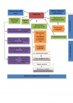 Организационная структура школы